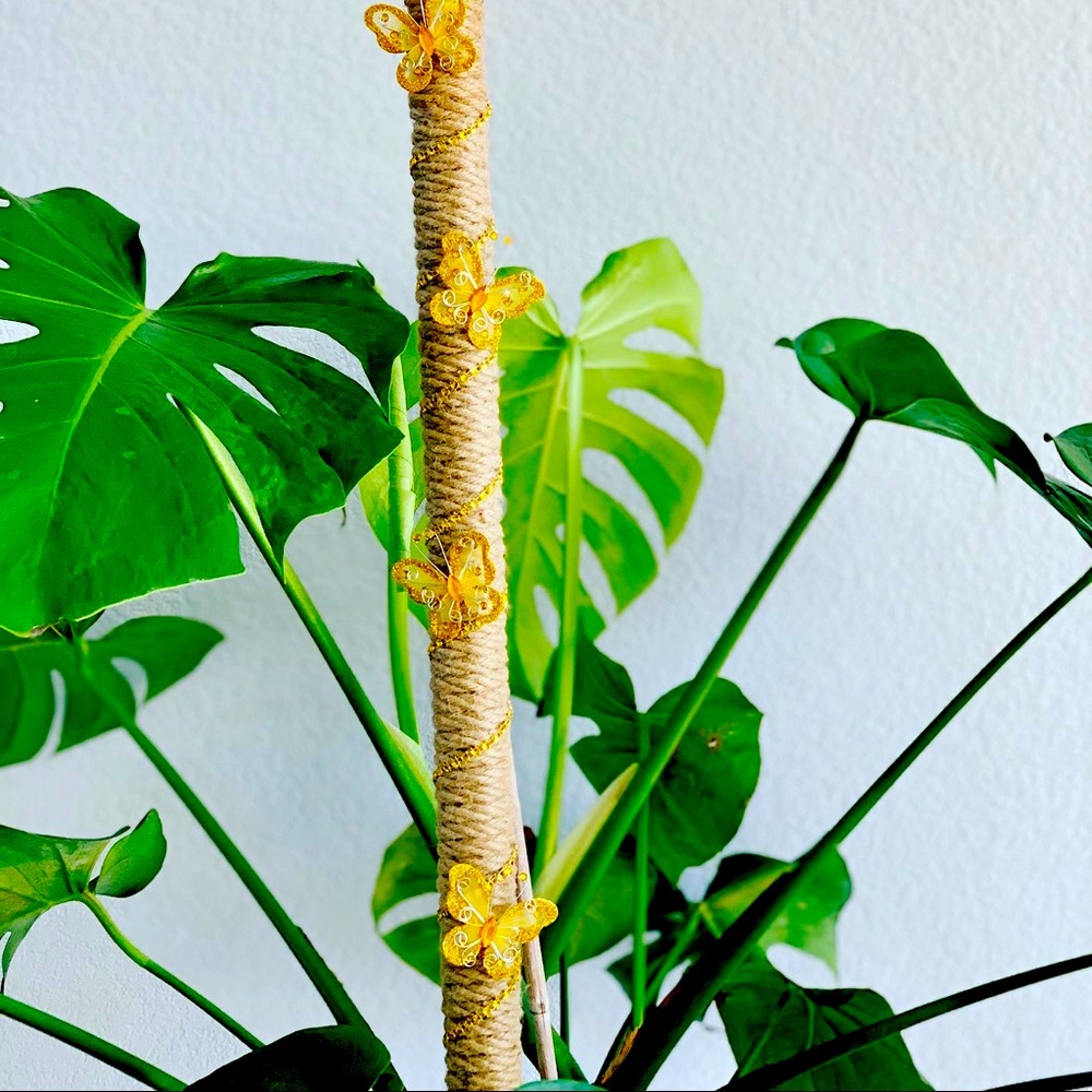 Glam Gold 36-inch Jute-wrapped Plant Support Pole